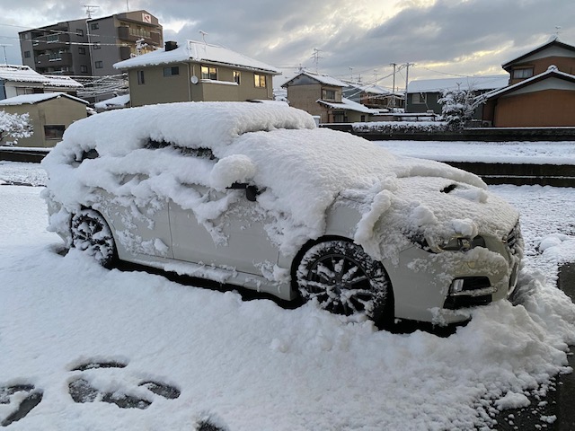 雪☃️